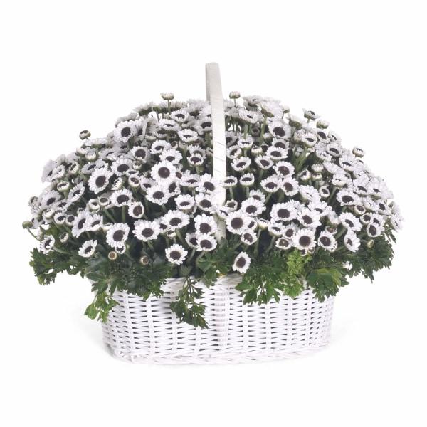Winter White Flowers_Basket