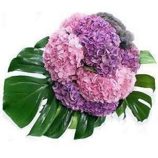 10 Pink and Purple Hydrangeas Flowers